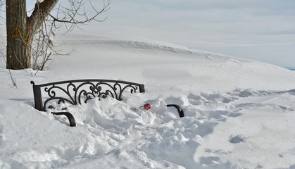 Rose on a snow-covered bench in the middle of a snow-covered park on a mountain. The rose freezes in the snow as a symbol of unfulfilled love.