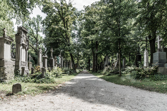 Kiesweg führt vorbei an alten Gräbern im ehemaligen Südfriedhof München