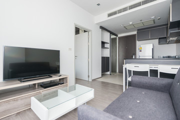 Beautiful and large living room interior