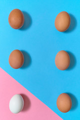 Eggs on blue and pink pastel background, copy space. Eggs on paper background with two tone color. Easter eggs. Flat lay, top view. Individuality, outstanding, uniqueness, independence