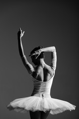 Fototapeta premium Young beautiful ballerina is posing in studio