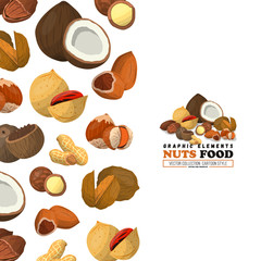 Nuts label, banner, product card cover. Nut food of cashew, walnut, nutmeg and other. Coconut.