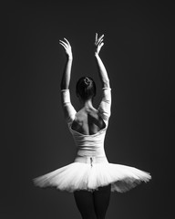 Fototapeta premium Young beautiful ballerina is posing in studio