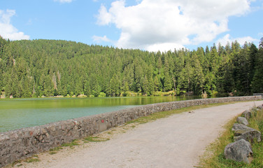 Lac vert Vosges France