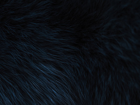 Hình ảnh cáo bạch dương trên nền đen: Hãy thưởng thức hình ảnh tuyệt đẹp của một con cáo bạch dương tinh tế nằm trên nền chủ đạo đen. Sắc trắng tinh khiết của cáo sẽ được nổi bật lên trên nền đen, mang đến cho bạn cảm giác yên bình và thanh tao mà không lúc nào muốn rời mắt khỏi bức tranh này.