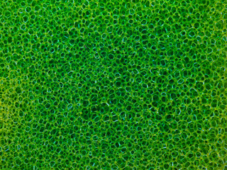 Green macro texture cellulose foam sponge. Abstract sponge background
