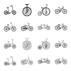 Children bicycle, a double tandem and other types.Different bicycles set collection icons in black,outline style vector symbol stock illustration web. © pandavector