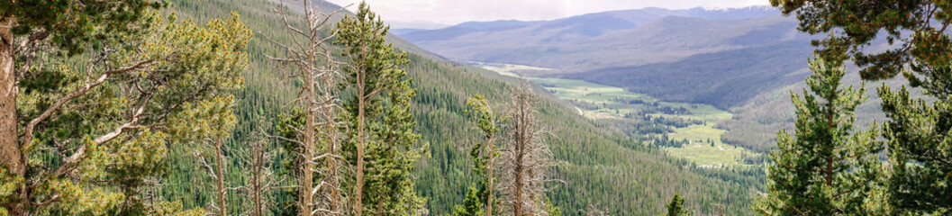 Fototapeta na wymiar Green summer mountain valley, Rocky Mountain National Park. Colorado, United States