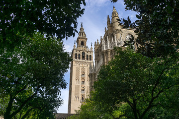 View of Giralda from orange tree courtyard