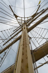 Fototapeta premium Mast der Royal Clipper