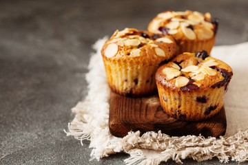 Blueberry lemon cake on dark wooden background