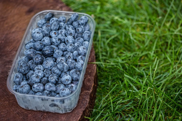 blueberry in plastic packing
