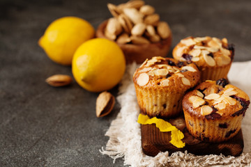 Blueberry lemon cake on dark wooden background