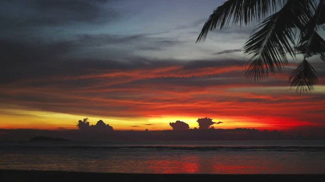 palm leaf, sunset colors in the sky, awesome beach or coast in the evening, tropical wonderland