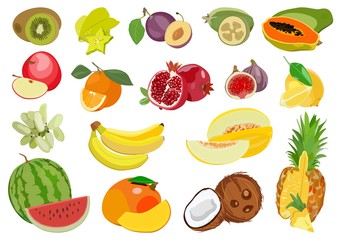 Set of multicolored ripe exotic and tropical fruits. Vector illustration.