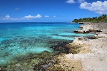 turquoise coral coast in Caribbean sea