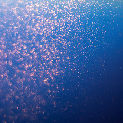 Glitter lights abstract background. Golden Sparkle stardust on blue and black defocused texture.