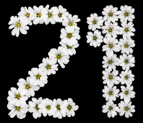 Arabic numeral 21, twenty one, twenty, two, one, from white flowers of Cerastium tomentosum, isolated on black background