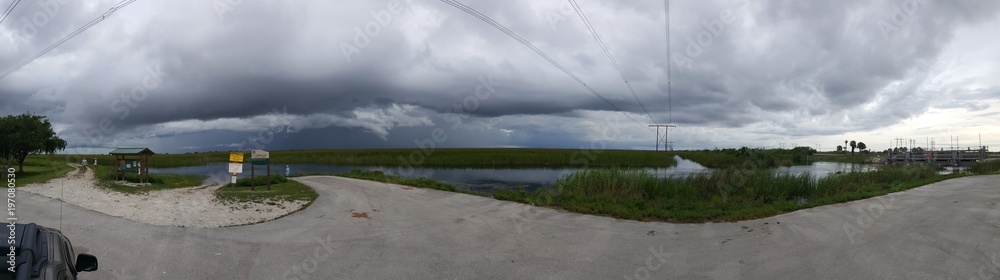 Canvas Prints Everglades Storm