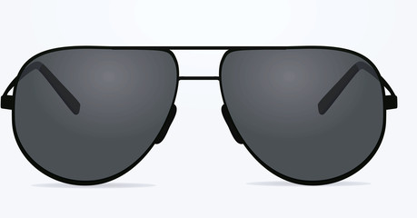 Sunglasses. vector illustration