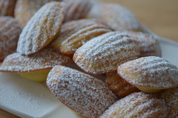 french Madeleine cakes