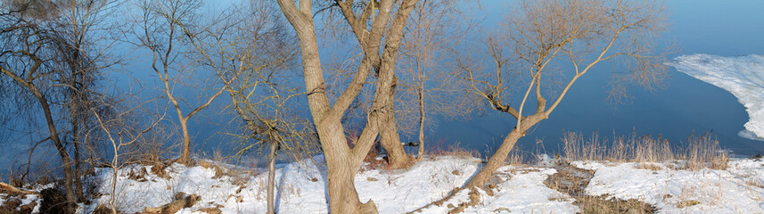 Panoramic early spring landscape. Shore of lake with trees illuminated by sun and remnants of snow on the ground