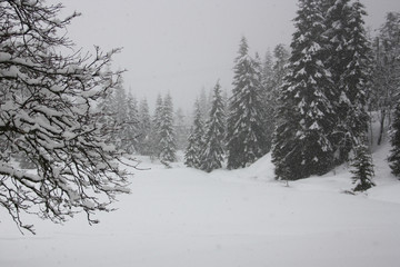 Winterwonderland in Norway
