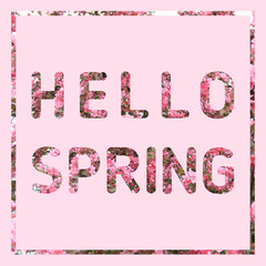 Hello Spring floral text on soft pastel pink background. 