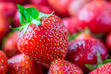 Background of ripe strawberries, macro