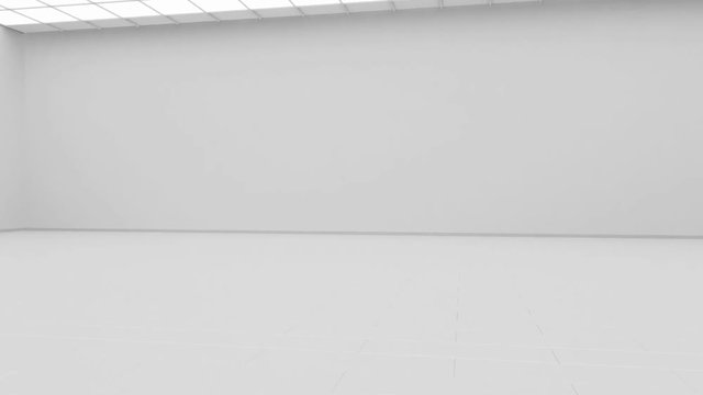 Blank white gallery background mock up isolated, constant camera rotation 3d rendering. Clear gallery interior with plain surface. Art design empty room