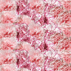 Beautiful floral background of pink carnations 