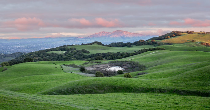 Fototapeta Sunset over Rolling Grassy Hills and Mount Diablo in Northern California. Views from Briones Regional Park looking east. Contra Costa County, California, USA.