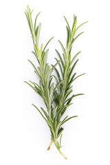 Rosemary spice on the white background.