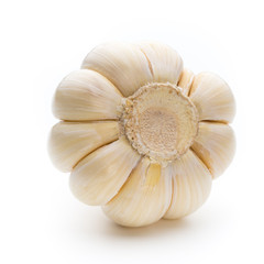 Garlic isolated on the white background.