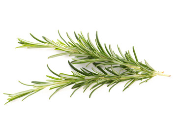 Rosemary spice on the white background.