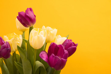 Tulip flowers postcard