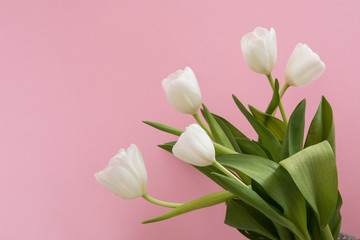 Tulip flowers postcard