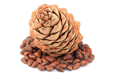 Pine cone with pine nuts closeup.