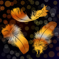three golden feathers