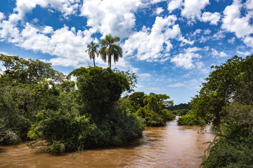 Fototapeta premium Brazilian tropical landscape
