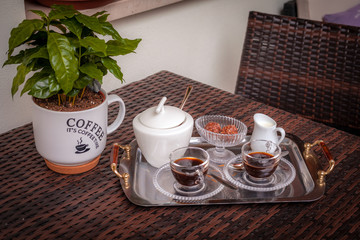 Tray with cups of coffee, sugar bowl and chocolate flanked by a decorated vase containing a coffee plant