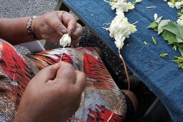 Foto op Plexiglas Cook Islander mature woman sewing a frangipani flowers lei Rarotonga Cook Islands © Rafael Ben-Ari