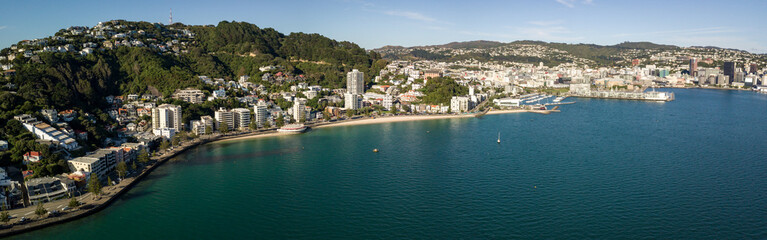 Fototapeta na wymiar Wellington Oriental Bay Panorama 