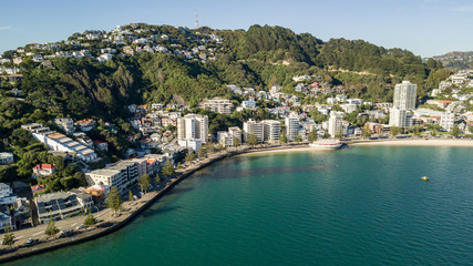 Oriental Bay On Summer Morning