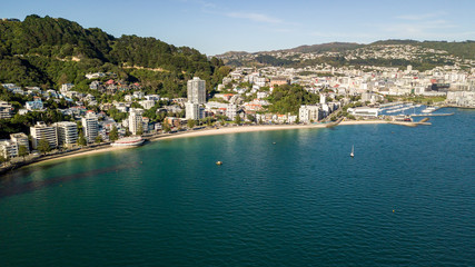 Oriental Bay Aerial Point Of View 