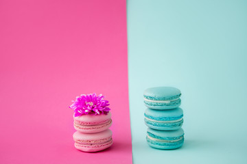 three mint macaroons stand on each other on a mint background and two pink macaroons stand on top of each other on a pink background