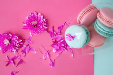 top view of mint mocaruns and pink mocaruns in a clear glass goblet which lies near the pink color on a mint and pink background