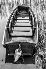Naklejka premium wooden river boat