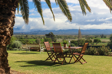 Garden at a hotel near Oudtshoorn, Little Karoo