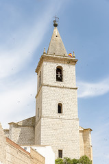 El Salvador church in La Roda city,  province of Albacete, Castile La Mancha, Spain